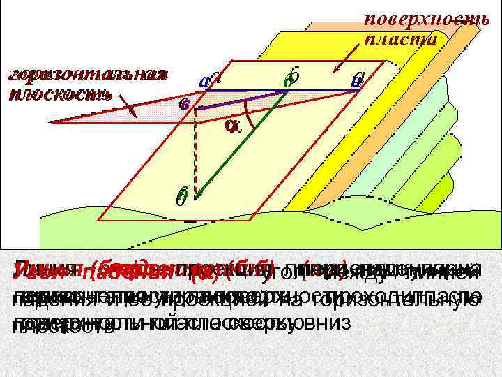 Чертеж изображающий на плоскости земную поверхность в уменьшенном виде называют