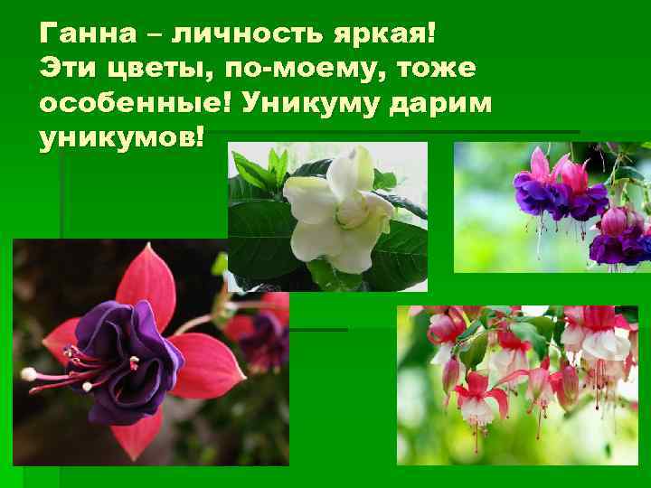 Ганна – личность яркая! Эти цветы, по-моему, тоже особенные! Уникуму дарим уникумов! 