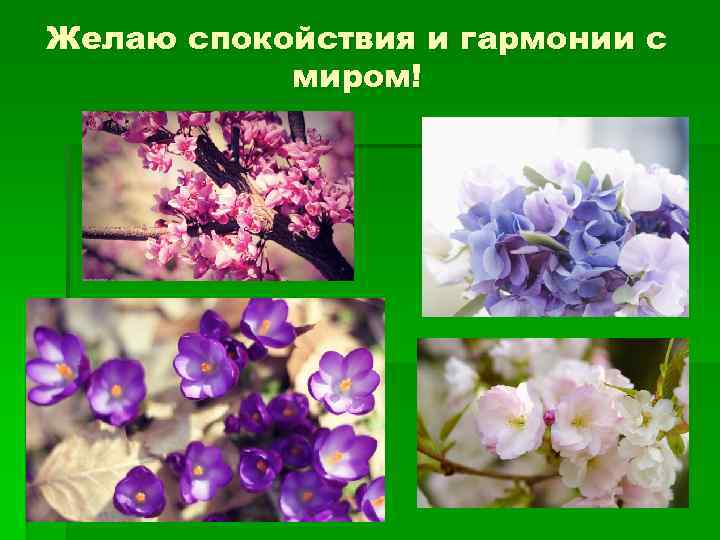 Желаю спокойствия и гармонии с миром! 