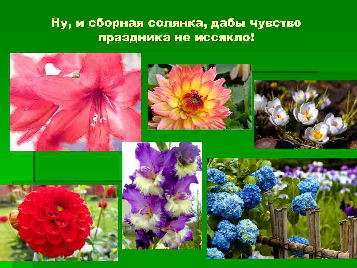 Ну, и сборная солянка, дабы чувство праздника не иссякло! 