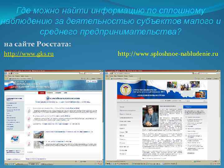 Где можно найти информацию по сплошному наблюдению за деятельностью субъектов малого и среднего предпринимательства?