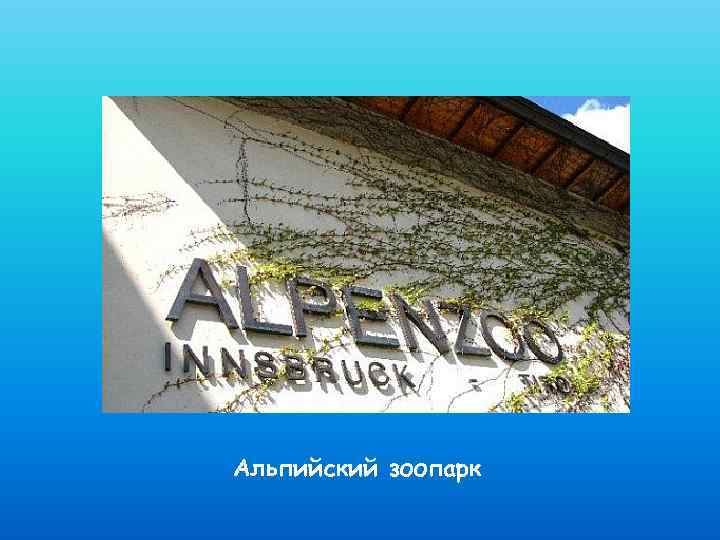 Альпийский зоопарк 