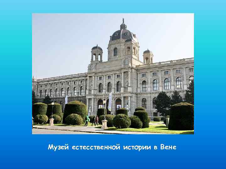 Музей естесственной истории в Вене 