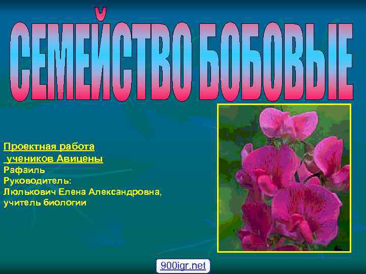 Проектная работа учеников Авицены Рафаиль Руководитель: Люлькович Елена Александровна, учитель биологии 900 igr. net