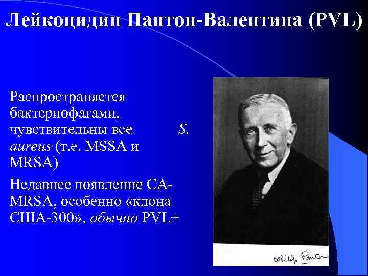 Лейкоцидин Пантон-Валентина (PVL) Распространяется бактериофагами, чувствительны все S. aureus (т. е. MSSA и MRSA)