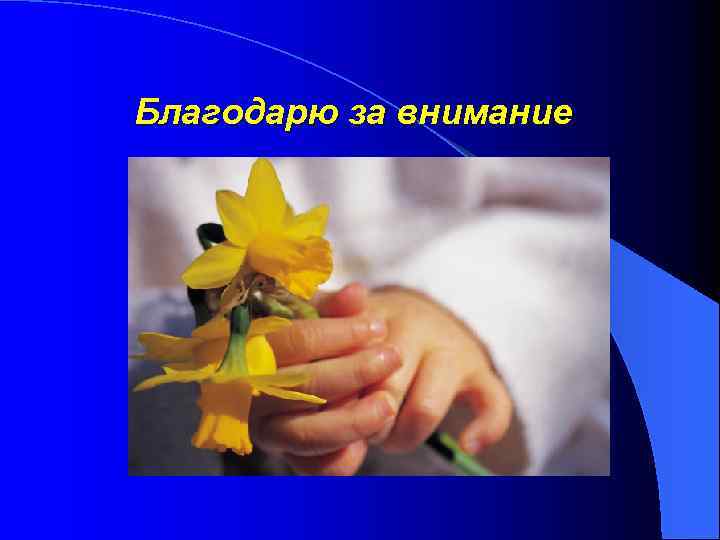 Благодарю за внимание 