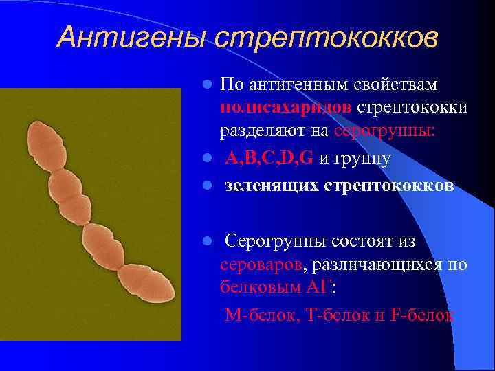 Стрептококковая инфекция презентация