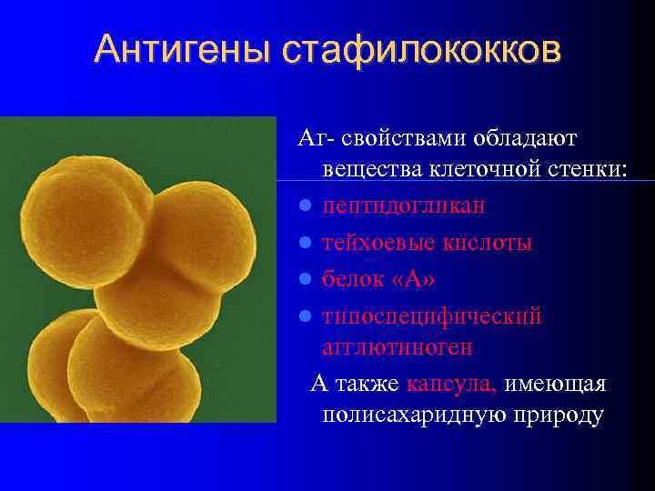 В качестве запасных питательных