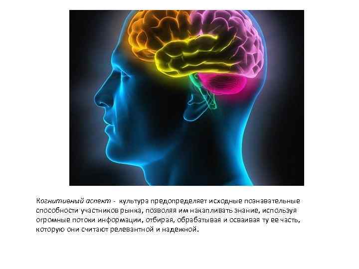 Когнитивный аспект - культура предопределяет исходные познавательные способности участников рынка, позволяя им накапливать знание,