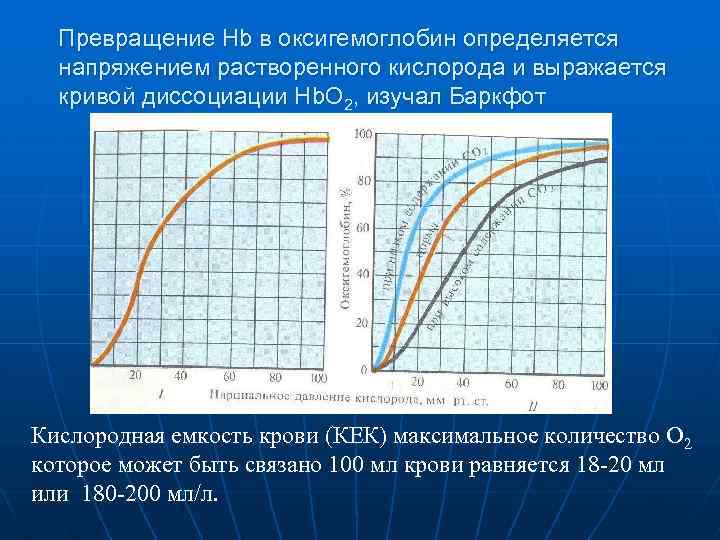 Превращение Hb в оксигемоглобин определяется напряжением растворенного кислорода и выражается кривой диссоциации Hb. О