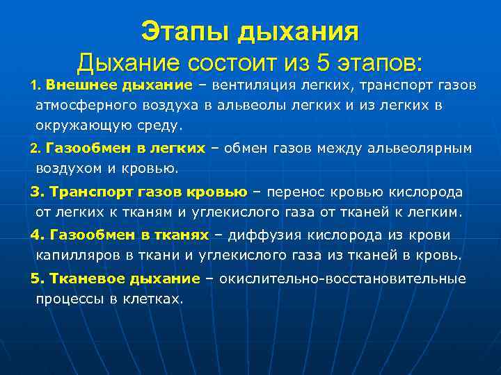 Этапы дыхания Дыхание состоит из 5 этапов: 1. Внешнее дыхание – вентиляция легких, транспорт