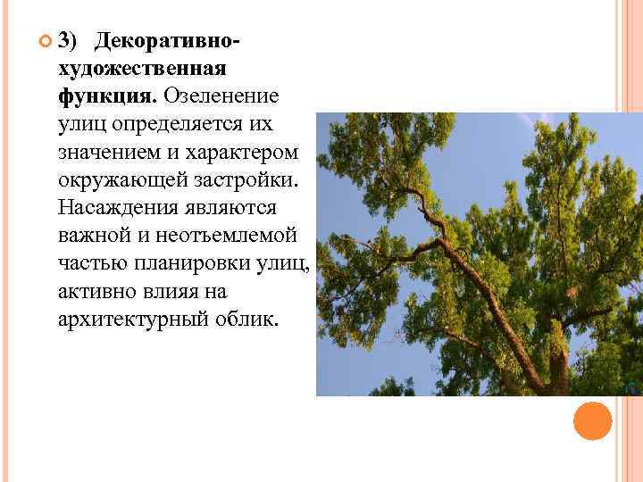  3) Декоративно- художественная функция. Озеленение улиц определяется их значением и характером окружающей застройки.