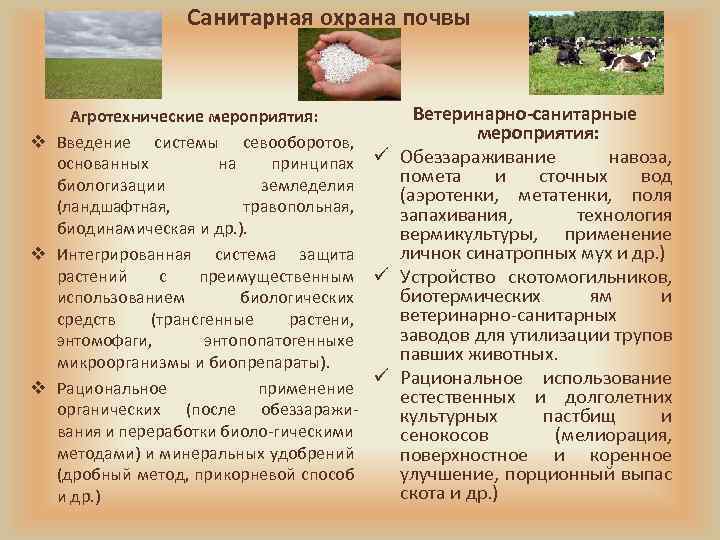 Санитарная охрана почвы Ветеринарно-санитарные Агротехнические мероприятия: v Введение системы севооборотов, навоза, основанных на принципах