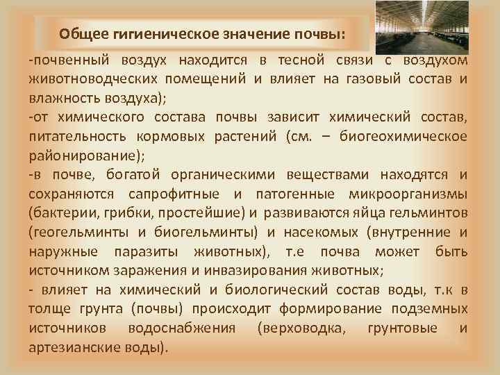 Общее гигиеническое значение почвы: -почвенный воздух находится в тесной связи с воздухом животноводческих помещений