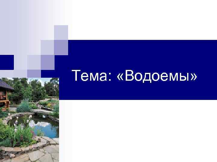 Тема: «Водоемы» 