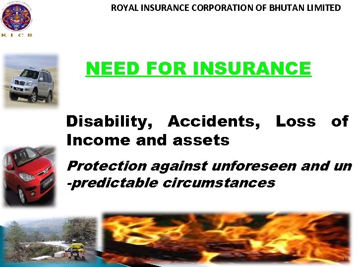 ROYAL INSURANCE CORPORATION OF BHUTAN LIMITED NEED FOR INSURANCE Disability, Accidents, Loss of Income