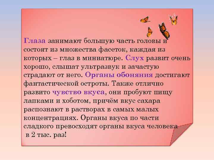 Глаза занимают большую часть головы и состоят из множества фасеток, каждая из которых –