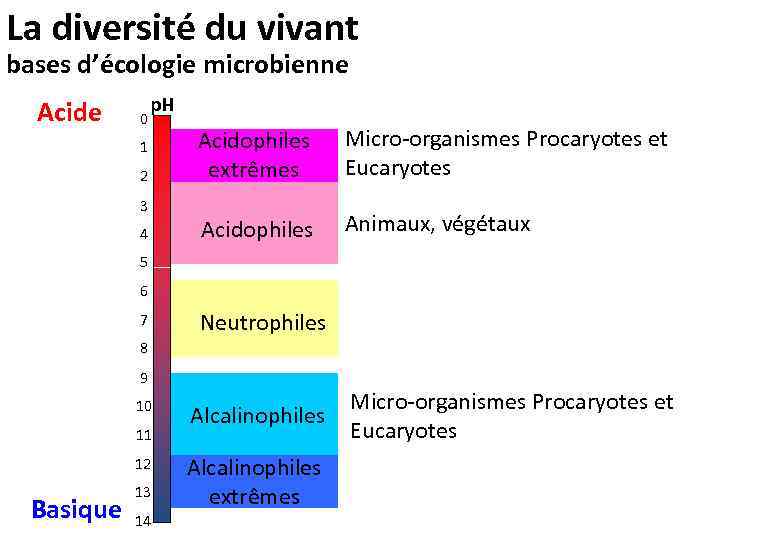 La diversité du vivant bases d’écologie microbienne Acide 0 p. H 1 2 3