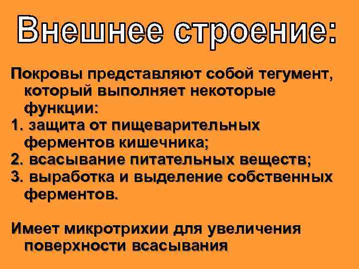 Покровы представляют собой тегумент, который выполняет некоторые функции: 1. защита от пищеварительных ферментов кишечника;