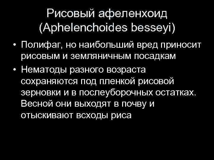 Рисовый афеленхоид (Aphelenchoides besseyi) • Полифаг, но наибольший вред приносит рисовым и земляничным посадкам