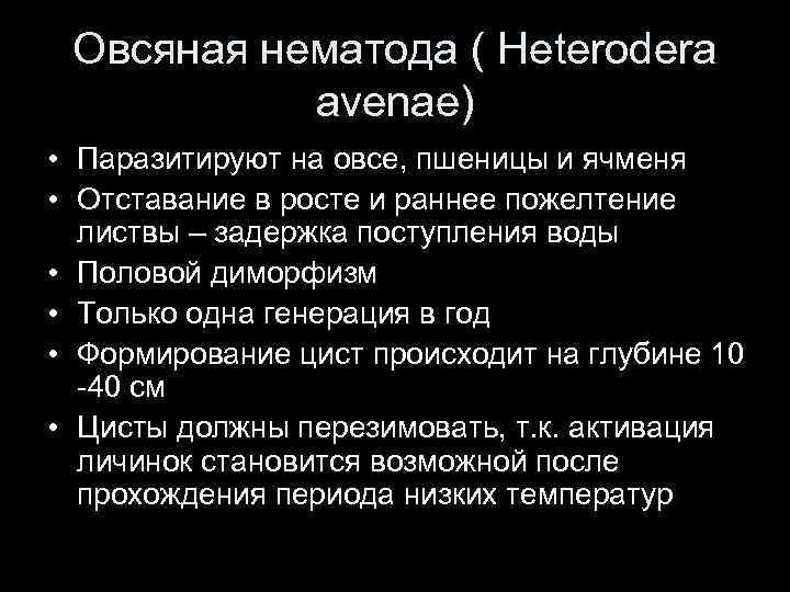 Овсяная нематода ( Heterodera avenae) • Паразитируют на овсе, пшеницы и ячменя • Отставание