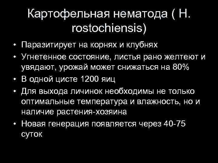 Картофельная нематода ( H. rostochiensis) • Паразитирует на корнях и клубнях • Угнетенное состояние,