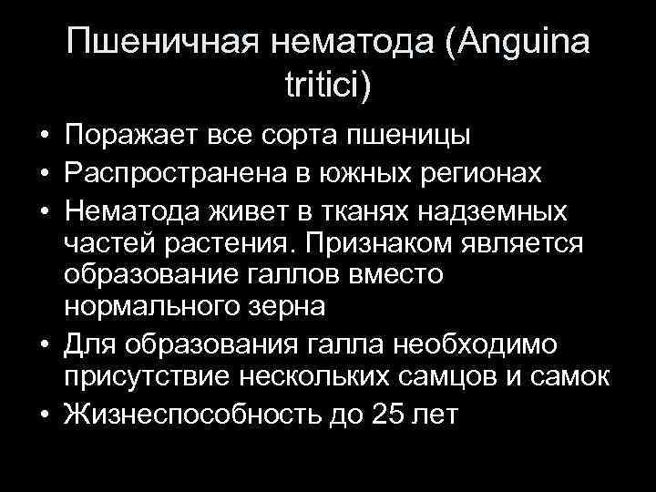 Пшеничная нематода (Anguina tritici) • Поражает все сорта пшеницы • Распространена в южных регионах