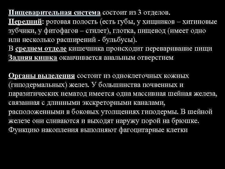 Пищеварительная система состоит из 3 отделов. Передний: ротовая полость (есть губы, у хищников –