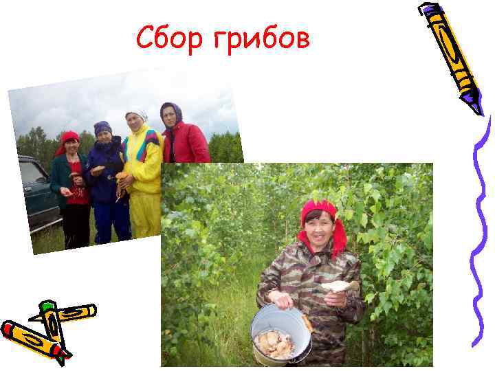 Сбор грибов 