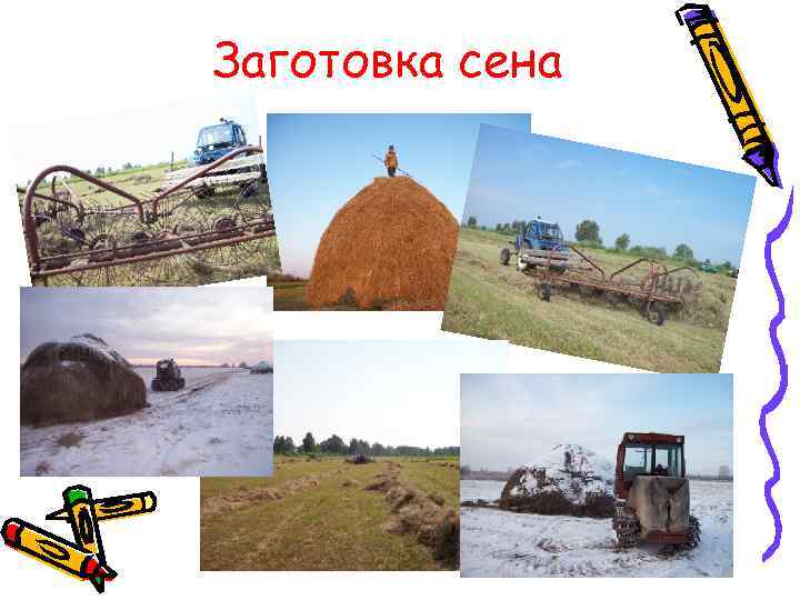 Заготовка сена 
