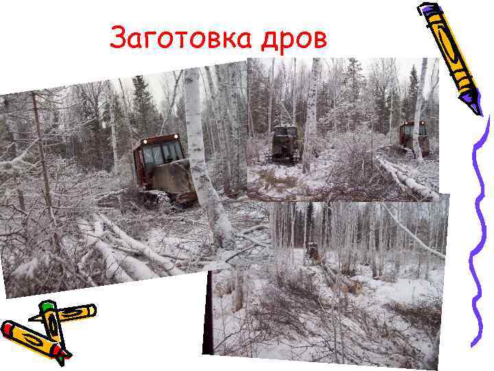 Заготовка дров 