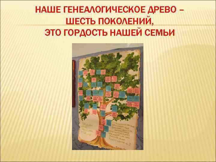 НАШЕ ГЕНЕАЛОГИЧЕСКОЕ ДРЕВО – ШЕСТЬ ПОКОЛЕНИЙ, ЭТО ГОРДОСТЬ НАШЕЙ СЕМЬИ 