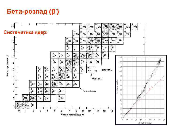 Бета-розпад (β-) Систематика ядер: 