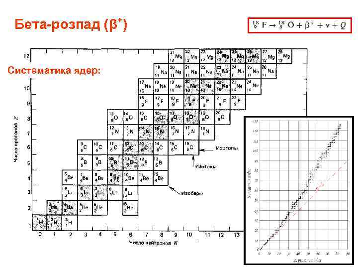 Бета-розпад (β+) Систематика ядер: 