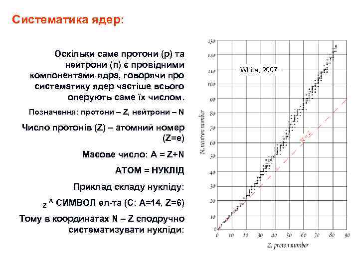Систематика ядер: Оскільки саме протони (p) та нейтрони (n) є провідними компонентами ядра, говорячи