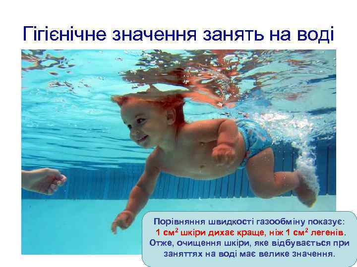 Гігієнічне значення занять на воді Порівняння швидкості газообміну показує: 1 см 2 шкіри дихає