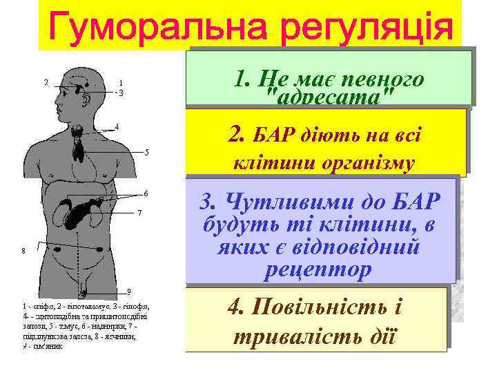 1. Не має певного 