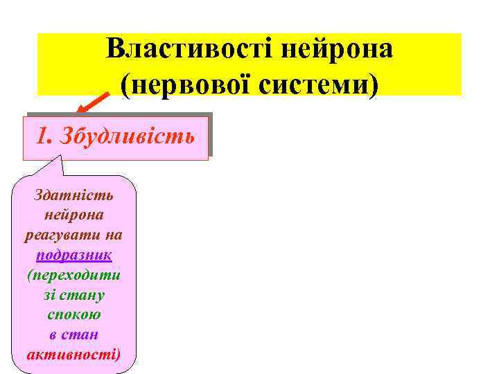 Властивості нейрона (нервової системи) 1. Збудливість Здатність нейрона реагувати на подразник (переходити зі стану