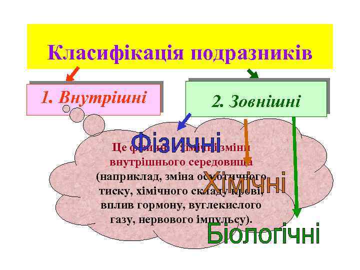 Класифікація подразників 1. Внутрішні 2. Зовнішні Це фізичні і хімічні зміни внутрішнього середовища (наприклад,