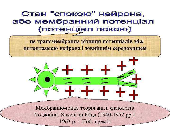 - це трансмембранна різниця потенціалів між цитоплазмою нейрона і зовнішнім середовищем Мембранно-іонна теорія англ.