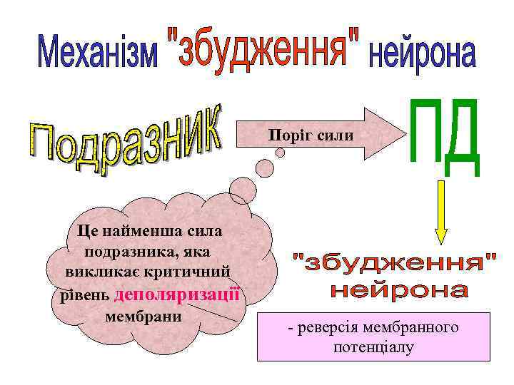 Поріг сили Це найменша сила подразника, яка викликає критичний рівень деполяризації мембрани - реверсія