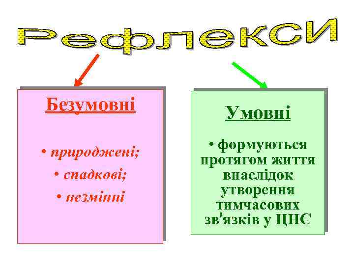 Безумовні • природжені; • спадкові; • незмінні Умовні • формуються протягом життя внаслідок утворення