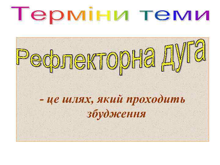 - це шлях, який проходить збудження 