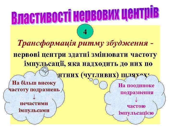 4 Трансформація ритму збудження нервові центри здатні змінювати частоту імпульсації, яка надходить до них