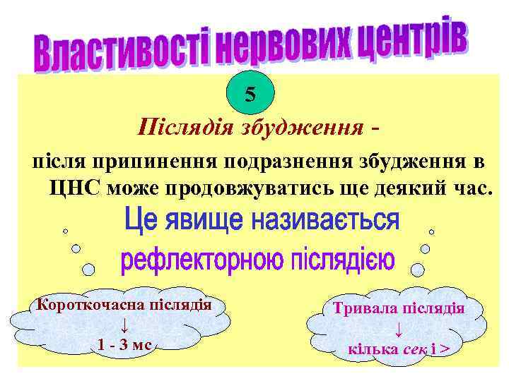 5 Післядія збудження після припинення подразнення збудження в ЦНС може продовжуватись ще деякий час.