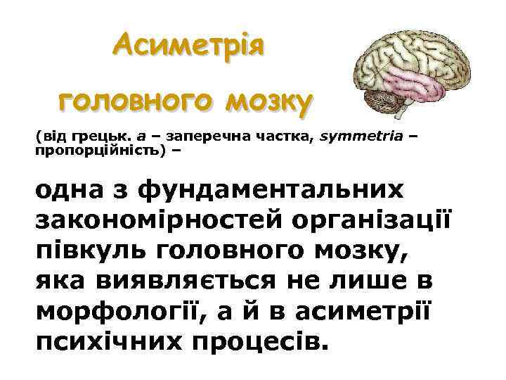 Асиметрія головного мозку (від грецьк. а – заперечна частка, symmetria – пропорційність) – одна