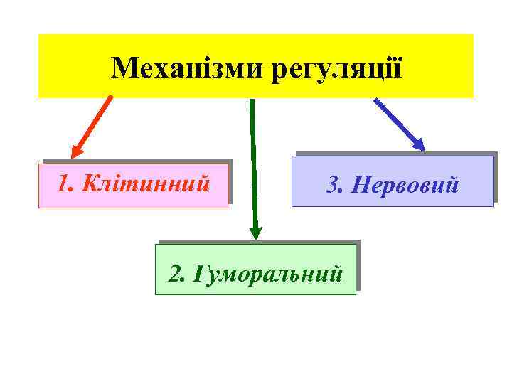 Механізми регуляції 1. Клітинний 3. Нервовий 2. Гуморальний 
