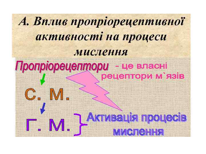 А. Вплив пропріорецептивної активності на процеси мислення 