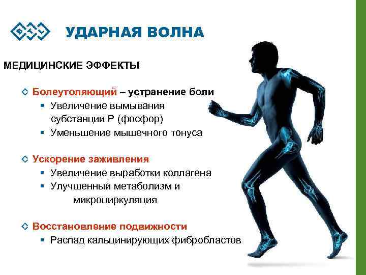 УДАРНАЯ ВОЛНА МЕДИЦИНСКИЕ ЭФФЕКТЫ Болеутоляющий – устранение боли § Увеличение вымывания субстанции Р (фосфор)
