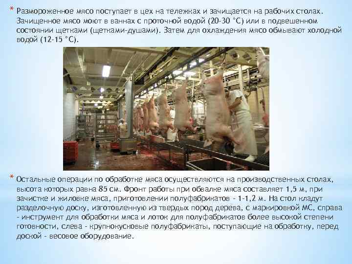 * Размороженное мясо поступает в цех на тележках и зачищается на рабочих столах. Зачищенное